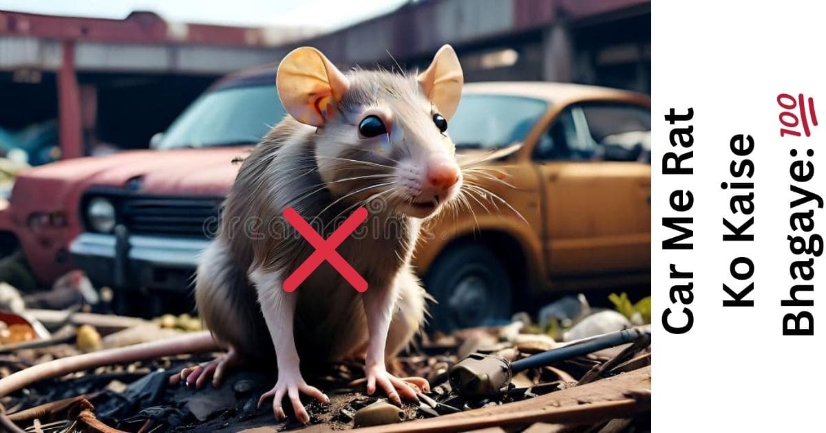 Car me rat ko kaise bhagya